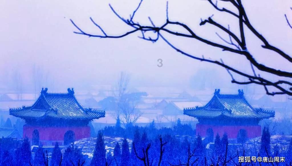 姜文绊马腿，范子铭挥肘不谈，却揪住任俊飞不放，他们想干什么
